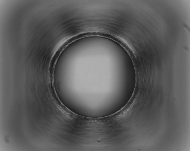 X0000091900927200709051101