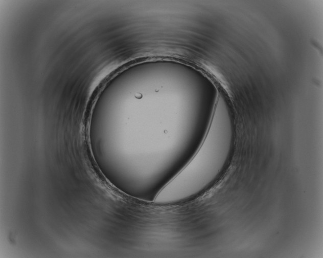 X0000091900928200709051101