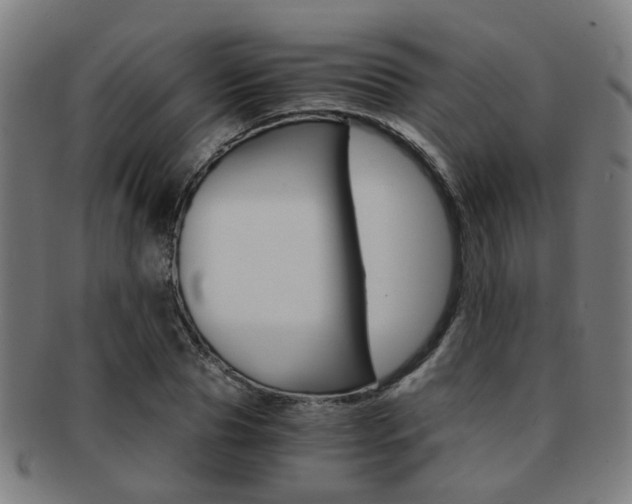 X0000091900929200709051101