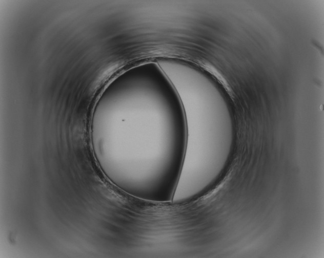 X0000091900930200709051101