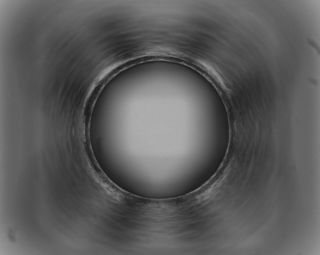 X0000091900931200709051101