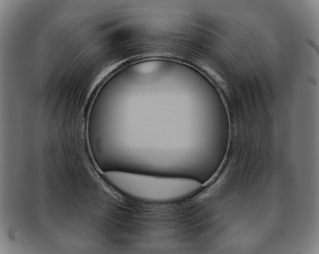X0000091900933200709051101