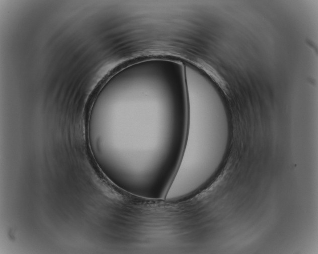 X0000091900934200709051101