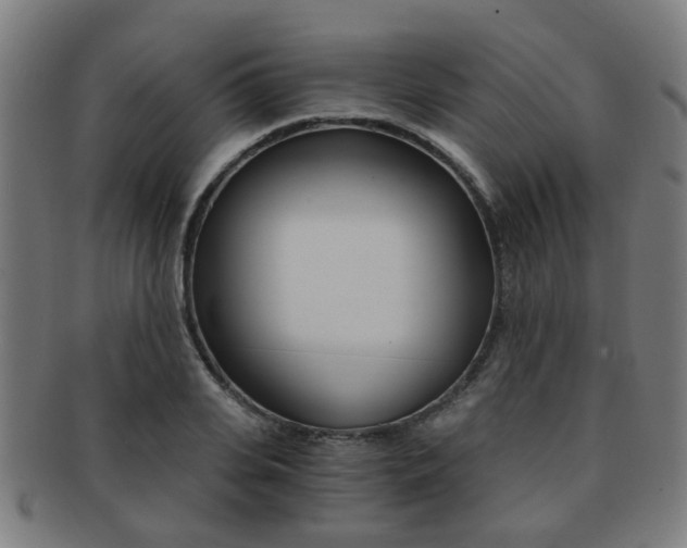 X0000091900935200709051101