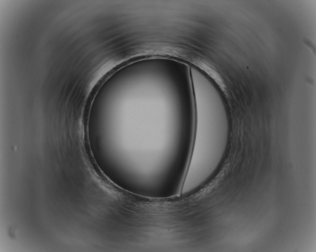 X0000091900936200709051101