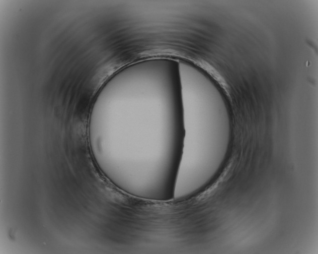 X0000091900937200709051101