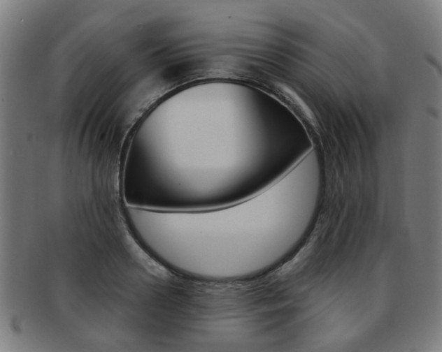 X0000091900938200709051101