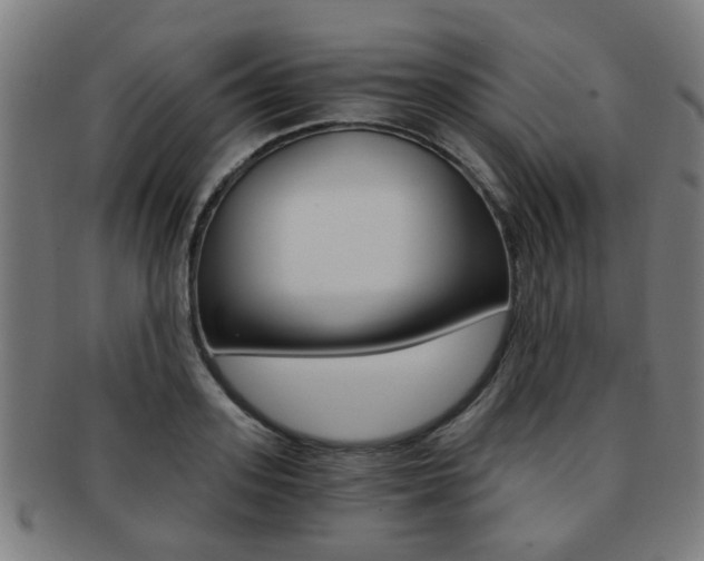 X0000091900939200709051101