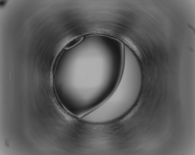 X0000091900940200709051101