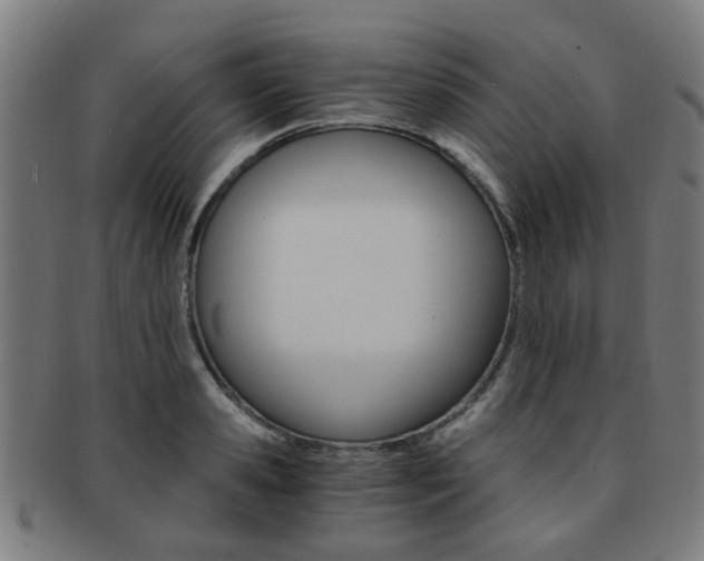 X0000091900941200709051101