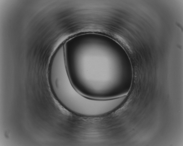 X0000091900942200709051101