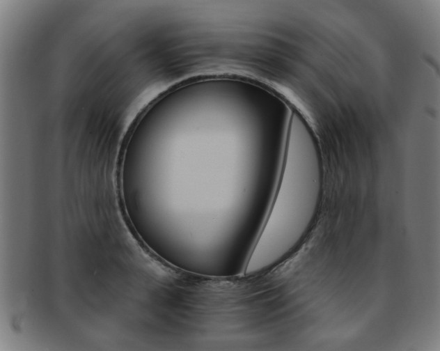 X0000091900943200709051101