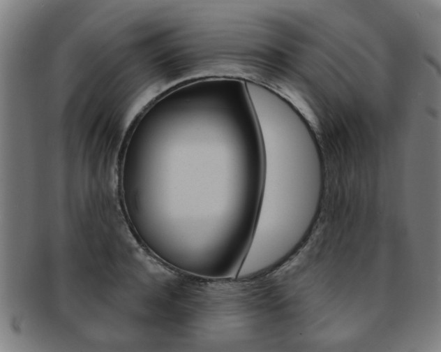 X0000091900944200709051101