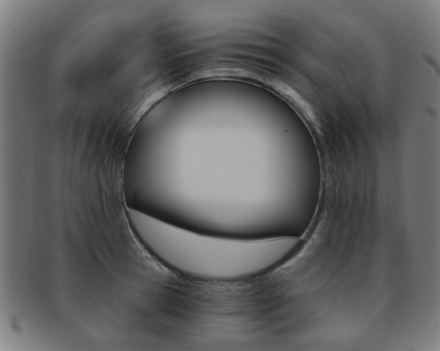 X0000091900945200709051101