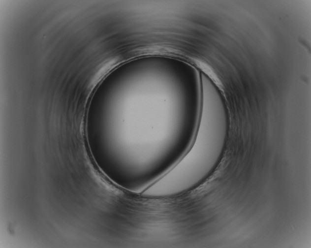 X0000091900946200709051101