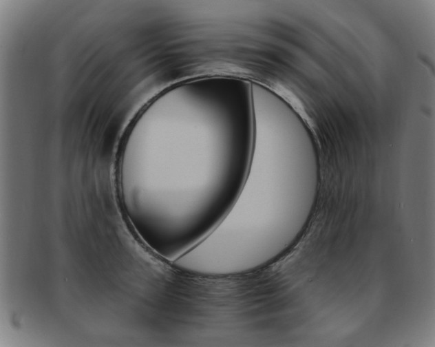 X0000091900947200709051101