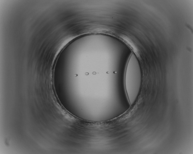 X0000091900948200709051101
