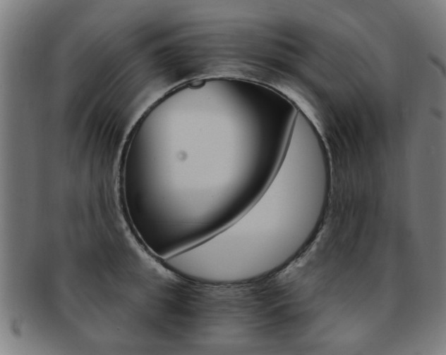 X0000091900949200709051101