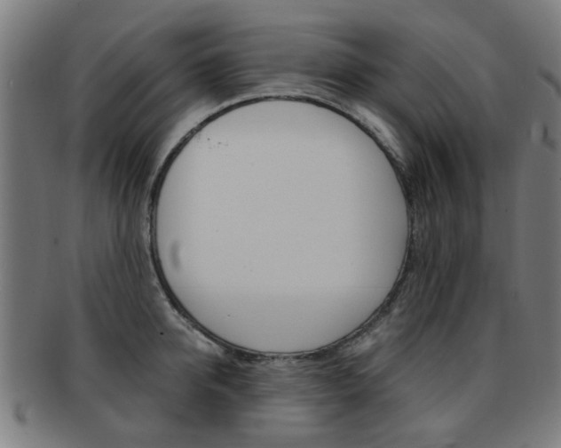 X0000091900950200709051101