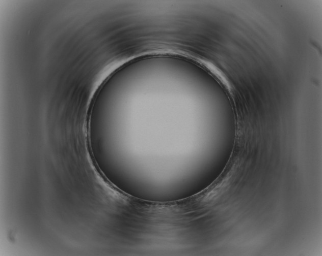 X0000091900951200709051101