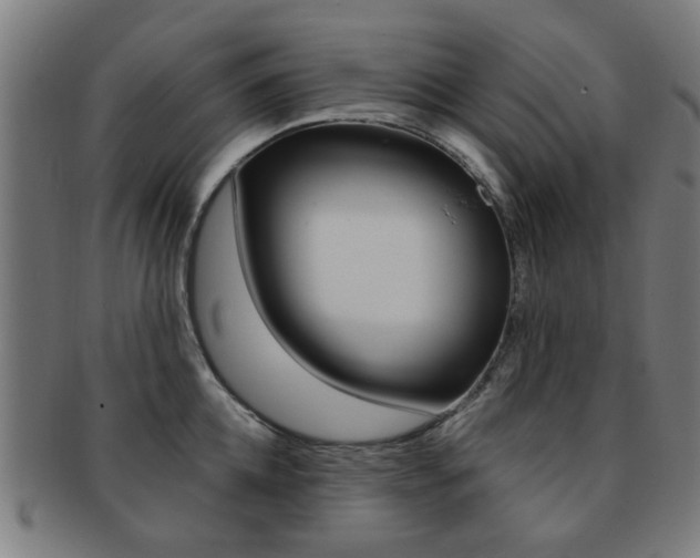 X0000091900952200709051101