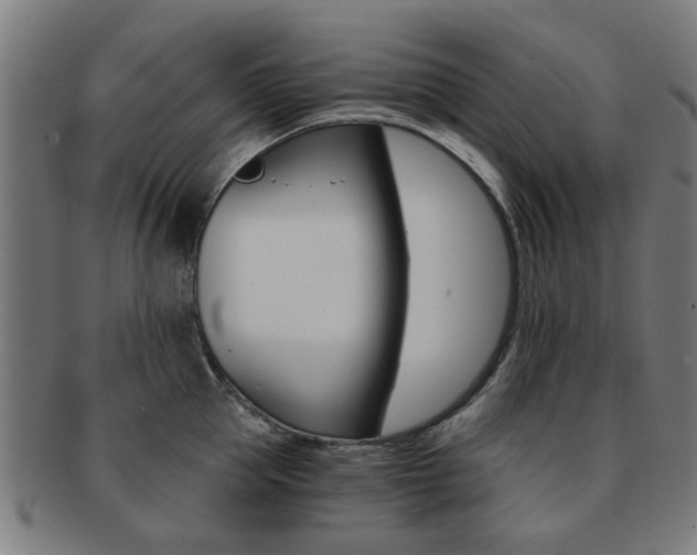 X0000091900953200709051101