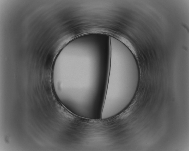 X0000091900954200709051101