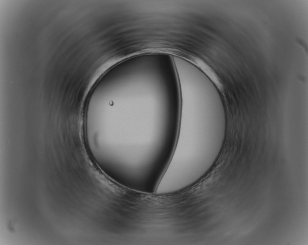 X0000091900955200709051101