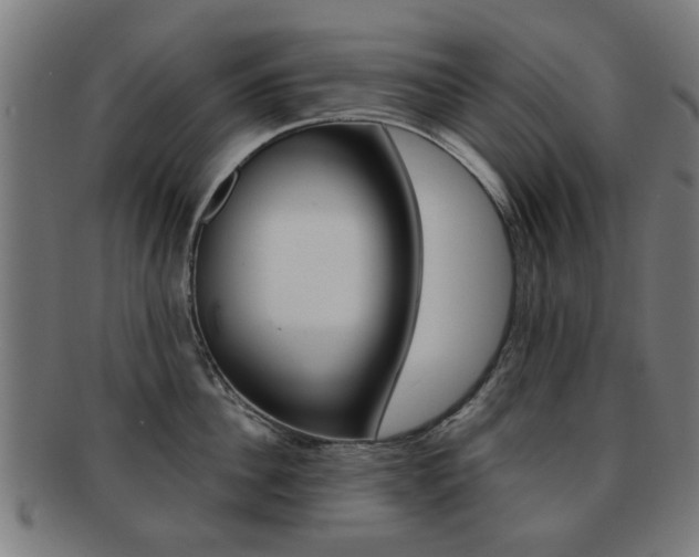 X0000091900956200709051101