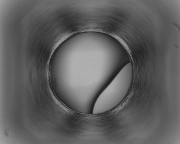X0000091900957200709051101