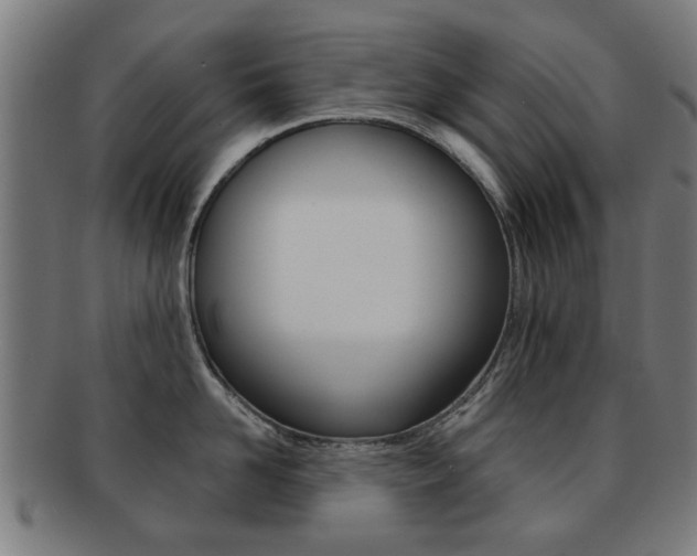 X0000091900958200709051101