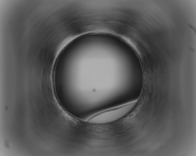 X0000091900959200709051101