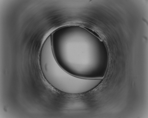 X0000091900960200709051101