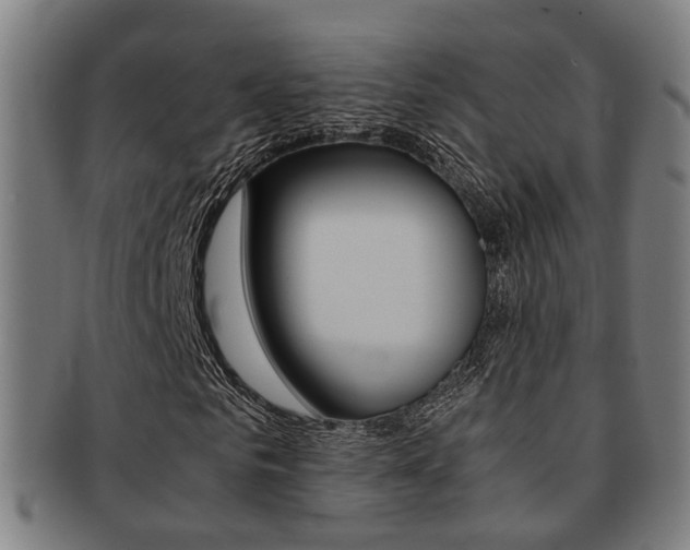 X0000091900961200709051101