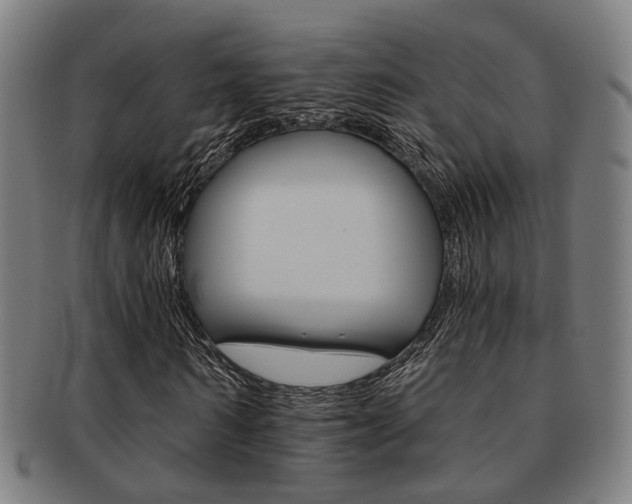 X0000091900962200709051101