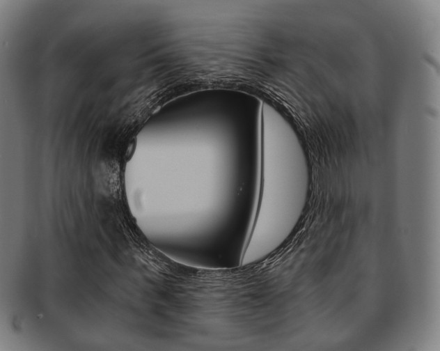 X0000091900963200709051101