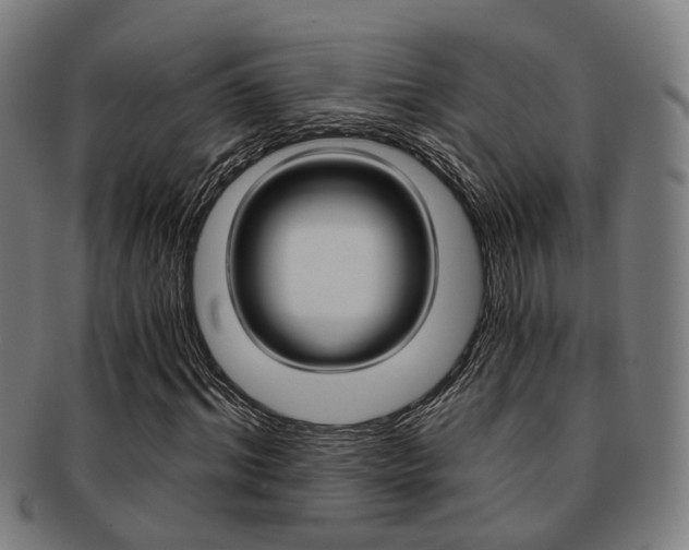 X0000091900964200709051101