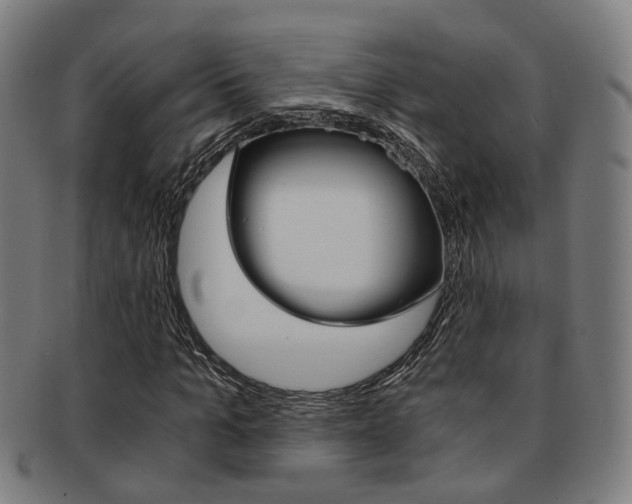 X0000091900965200709051101