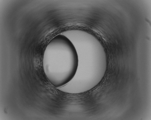X0000091900966200709051101