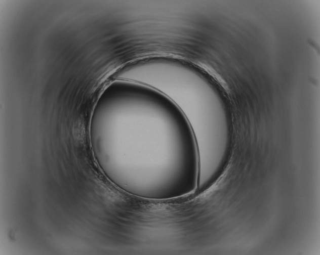 X0000091900969200709051101