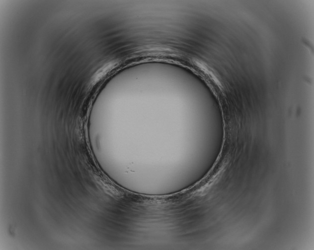 X0000091900970200709051101