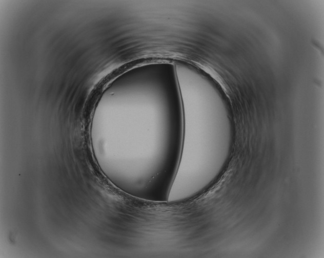 X0000091900971200709051101