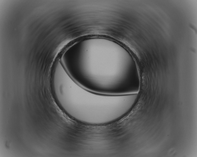 X0000091900972200709051101