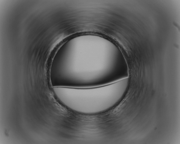 X0000091900975200709051101