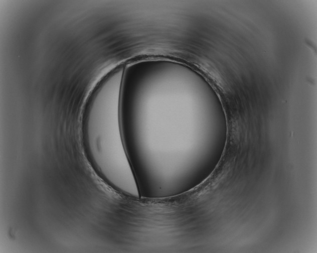 X0000091900976200709051101