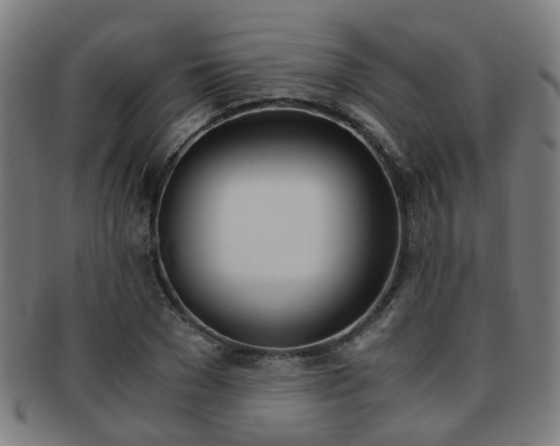 X0000091900977200709051100