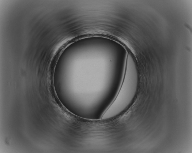 X0000091900979200709051100