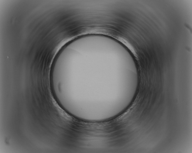 X0000091900980200709051100
