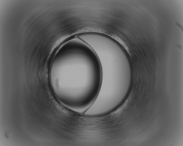 X0000091900981200709051100