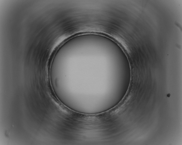 X0000091900982200709051100